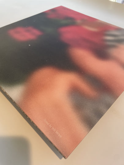 限定セール 写真集 レンハン HANG REN Amazon.co.jp: 任航