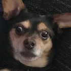 keysburnt thumbnail
