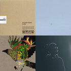 acoustic bend | evala