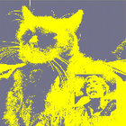 sophie_bongos thumbnail