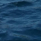 Te Whakatā Nei thumbnail