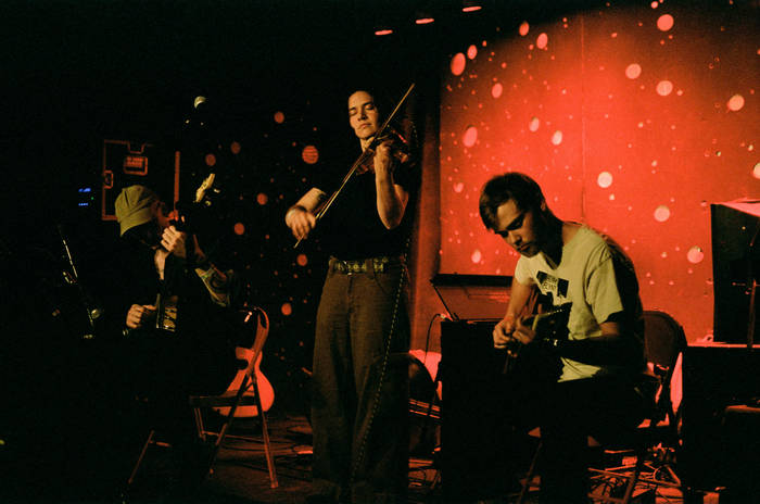 Magic Tuber Stringband — Photo