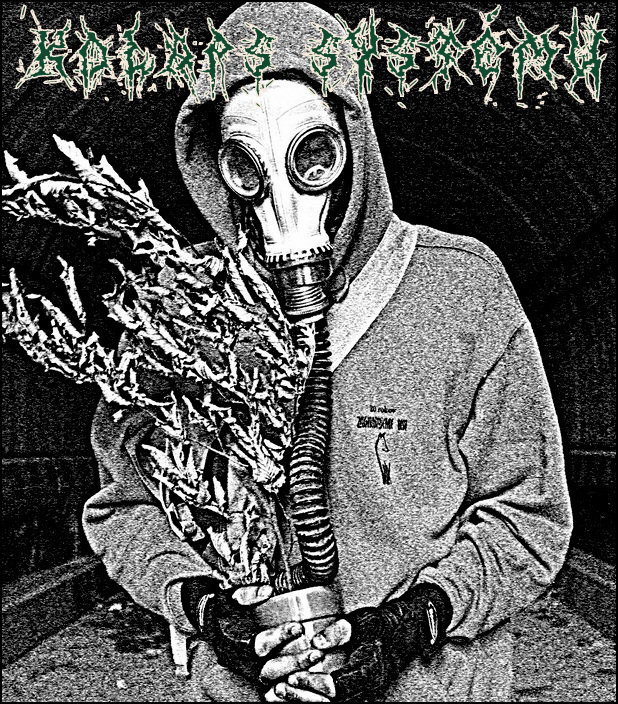 Discography of Animal Liberation Noise | Kolaps systému