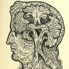 smoothiebrain thumbnail
