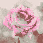 lndf thumbnail
