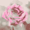 LNDF image