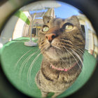 Diego thumbnail