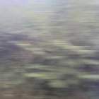 Max Duret thumbnail