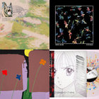 Typical Cats | Typical Cats | Qwazaar