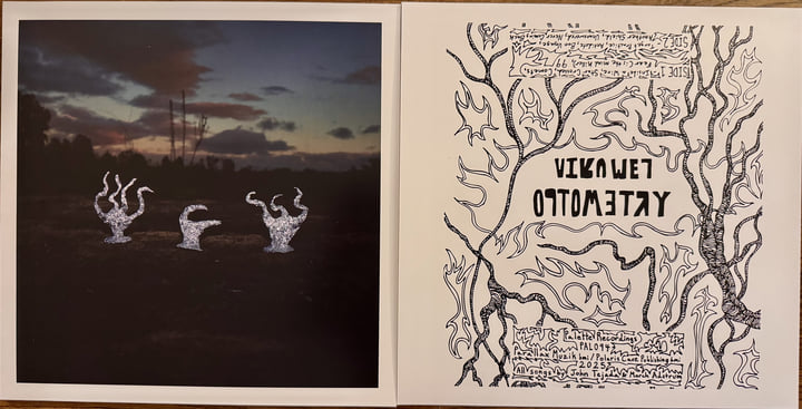 US orig.!! Lemuria 『S.T.』LP Very Rare!! Lemuria | Optometry