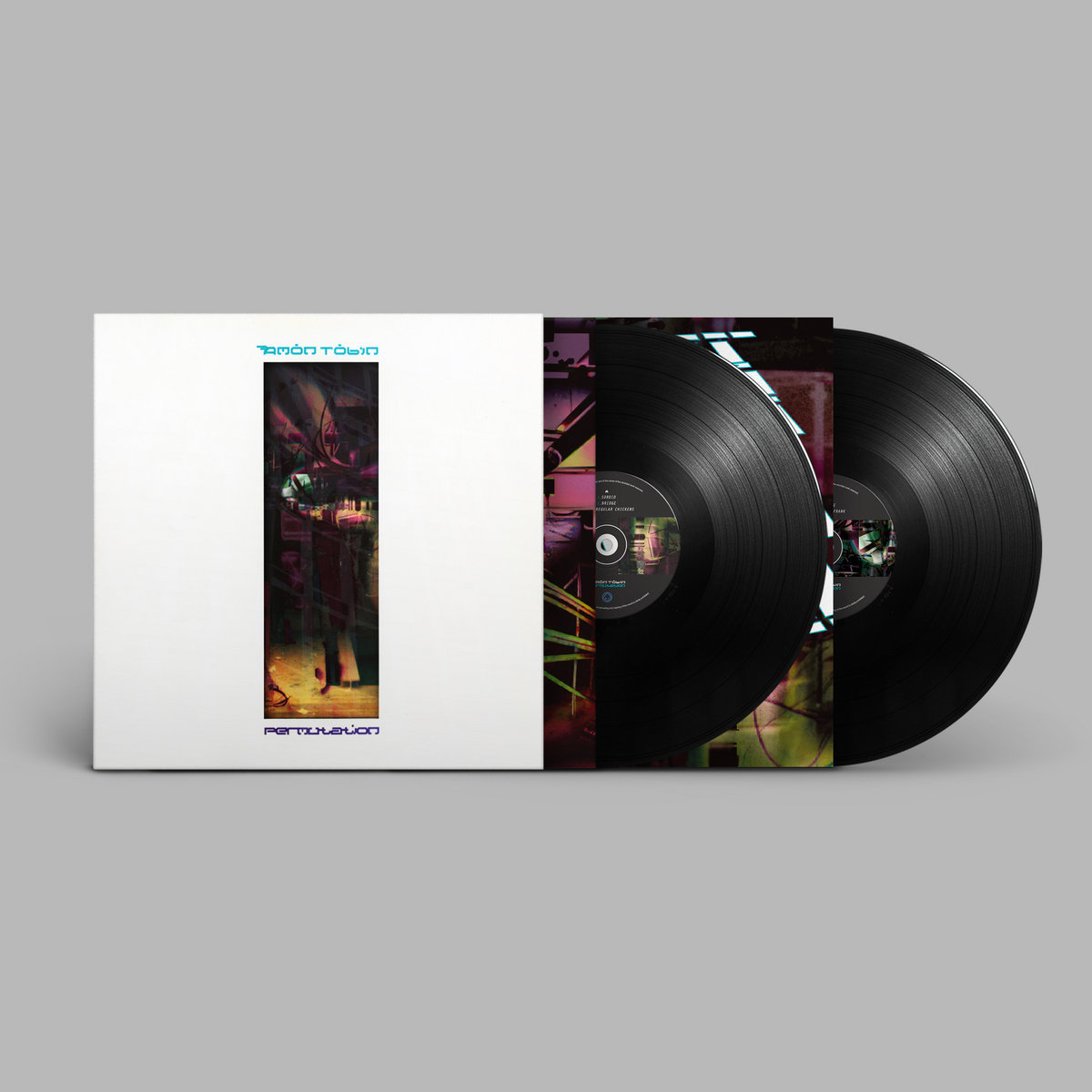 希少稀な Cujo | Reissue) (2025 Foam In Adventures | Tobin Amon 洋楽
