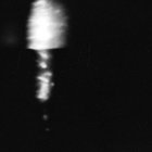 Tamaricaceae thumbnail
