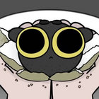 efeezor thumbnail