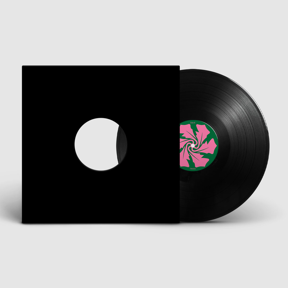 Echoing | Verlake | The Rose Island