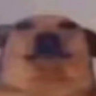 Chrish thumbnail