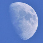 A. thumbnail