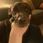 Skyscraper Anonymous | YUNG BAE