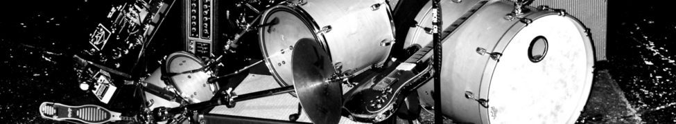 Bronson Arm — Photo