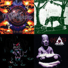 The Red In The Sky Is Ours | At The Gates | Peaceville
