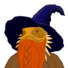 The Wizard Lizard thumbnail