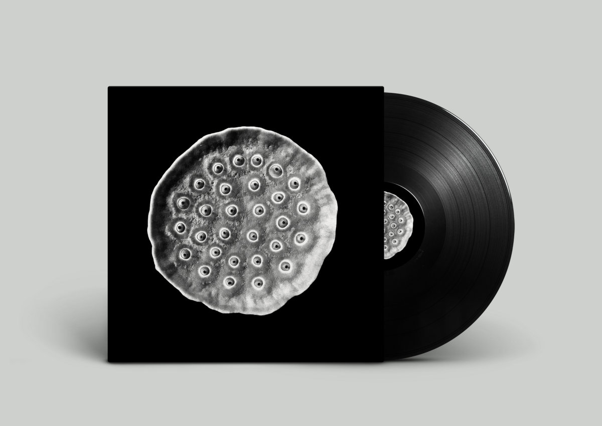 Deep Space Opera EP [Vinyl Only] | 747 | Aquaregia