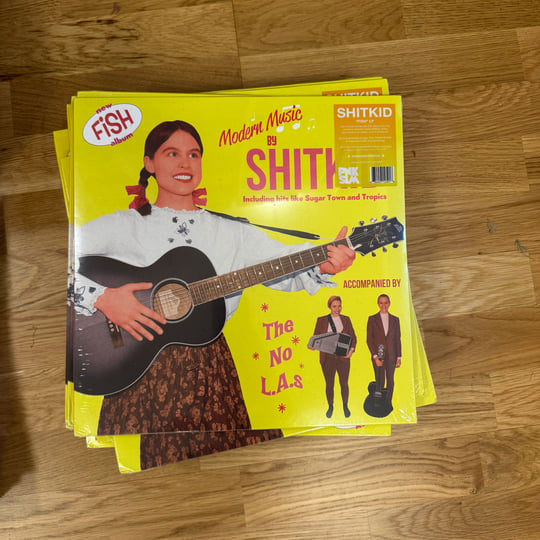 SHITKID \"20/20 SHITKID\" LP レコード 20/20 ShitKid [LP] | ShitKid
