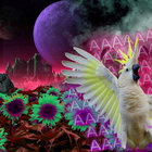 ahoshlaboshlo thumbnail
