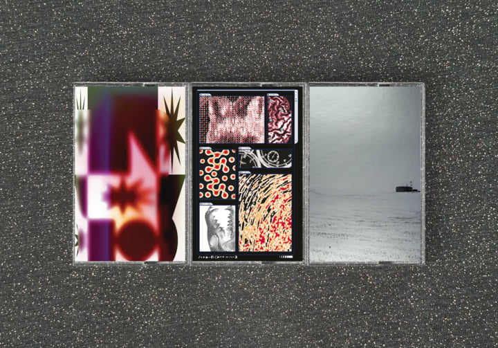 Decomposition: Fox on a Highway | Saapato | Constellation Tatsu
