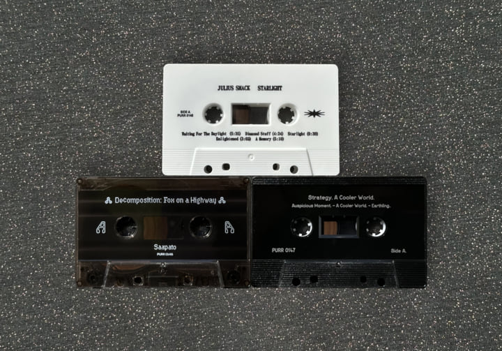 Decomposition: Fox on a Highway | Saapato | Constellation Tatsu