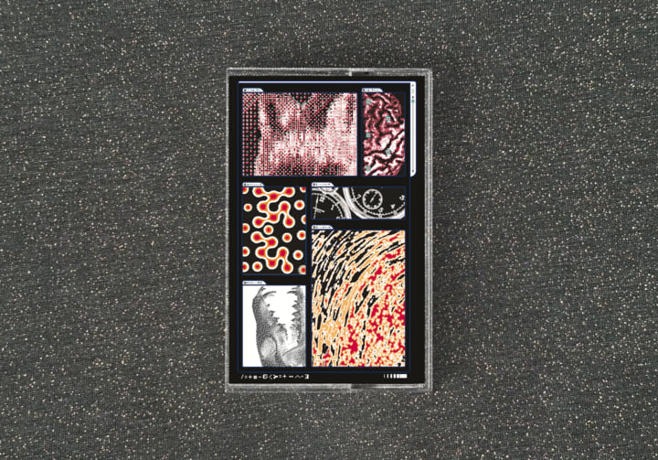 Decomposition: Fox on a Highway | Saapato | Constellation Tatsu