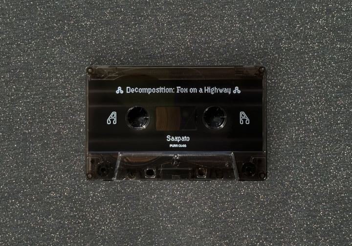 Decomposition: Fox on a Highway | Saapato | Constellation Tatsu