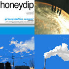 Another Sunny Day -Remastered- | honeydip