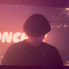 p.rose thumbnail