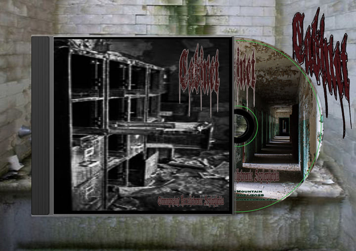 Decomposing Hexahedronic Seplophobia | CABINET