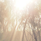 electric silence thumbnail