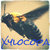 xylocopa1516 thumbnail