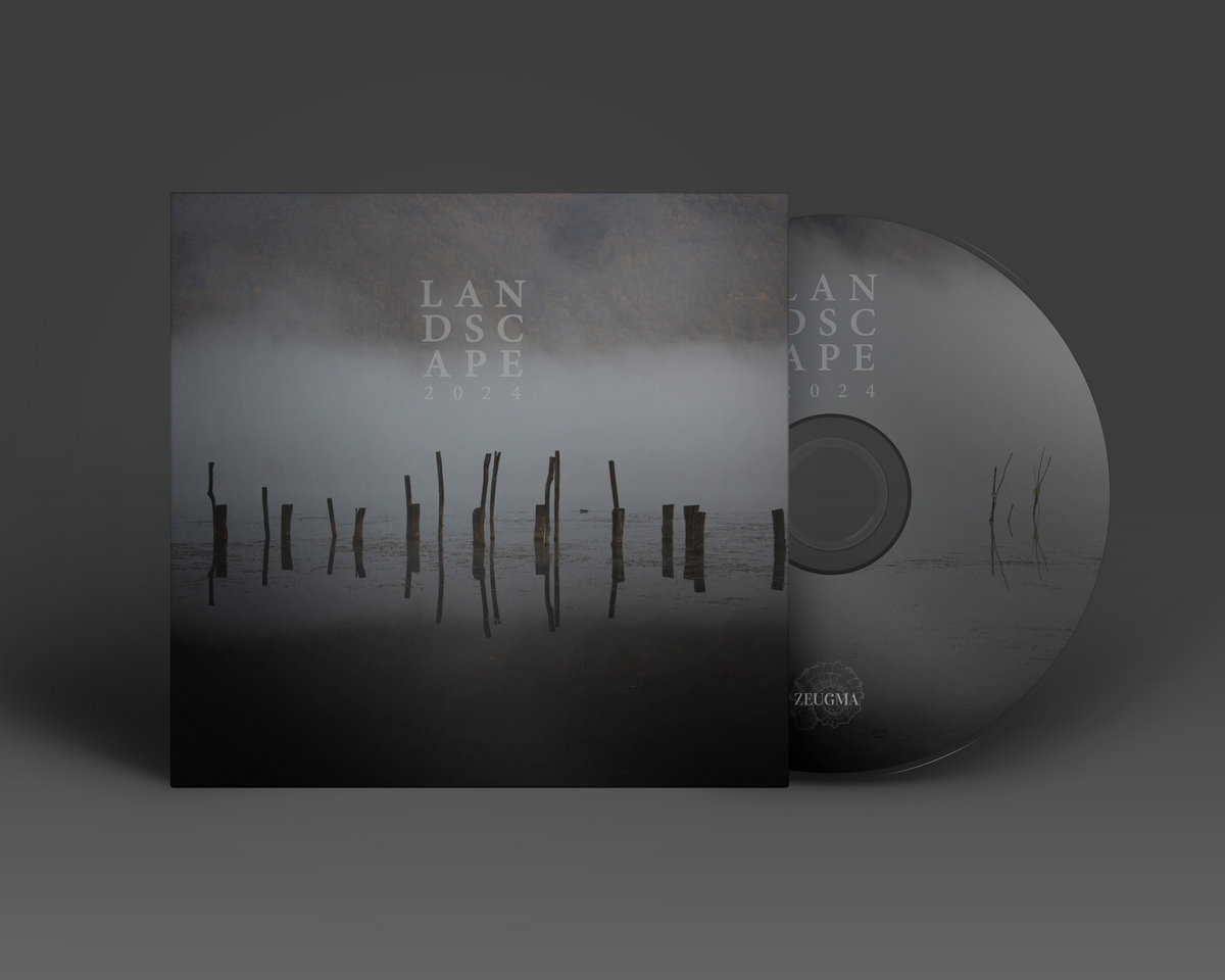 Landscape | Various Artists | Silentes