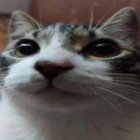 TTomTwo thumbnail