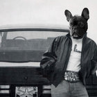 revolutionarydogboi thumbnail