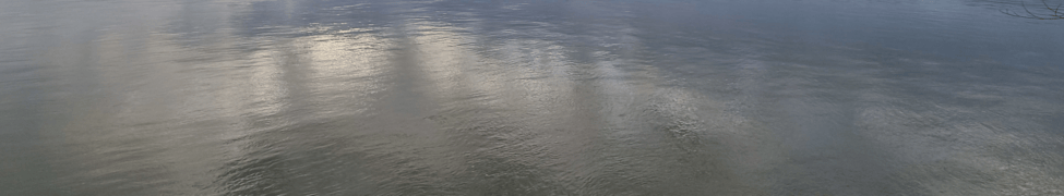 Autodetuned — Photo