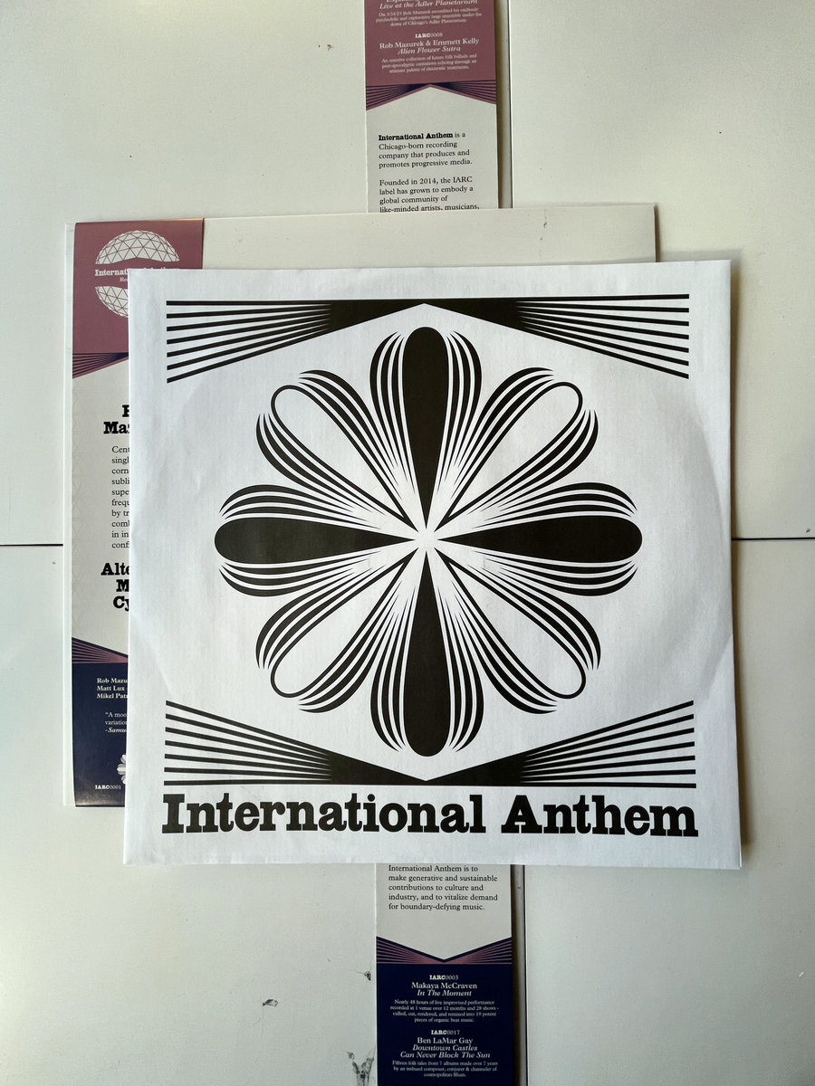 ミュージシャン MAGNETICA 30th ANNIVERSARY OFFICIAL BOOK Nirvana - In Utero - 30th Anniversary Deluxe Japanese