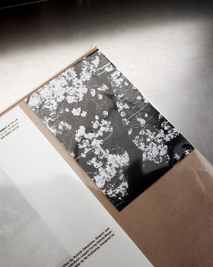 Nozomi | Masako Ohta, Matthias Lindermayr | Matthias Lindermayr