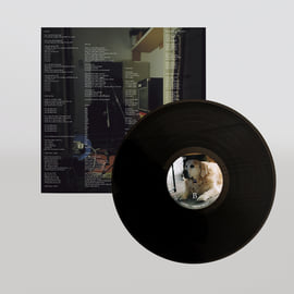 LP (Black), image 4