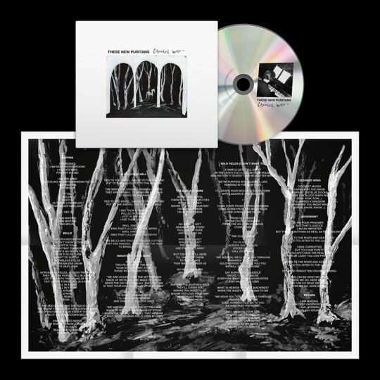 Crooked Wing | These New Puritans