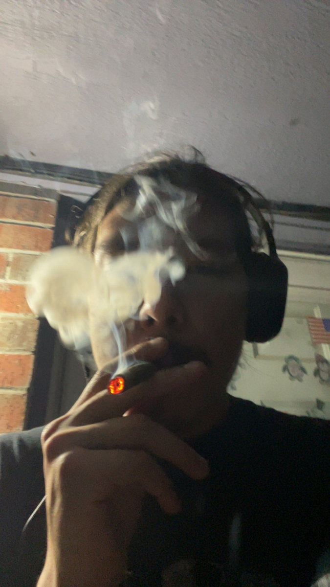 The Dog Consuming The Sun | Trey Dog Whistle, image size:675x1200