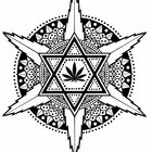 aleksandra_sativa thumbnail