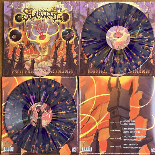 【中古】 Esoteric Malacology Slugdge Esoteric Malacology | Slugdge