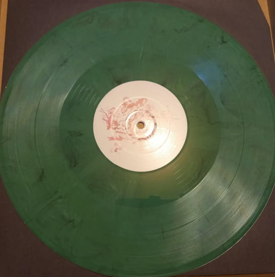 MASAMI KAWAGUCHI / KIM SALMON 'Blossoming' LP | Masami Kawaguchi