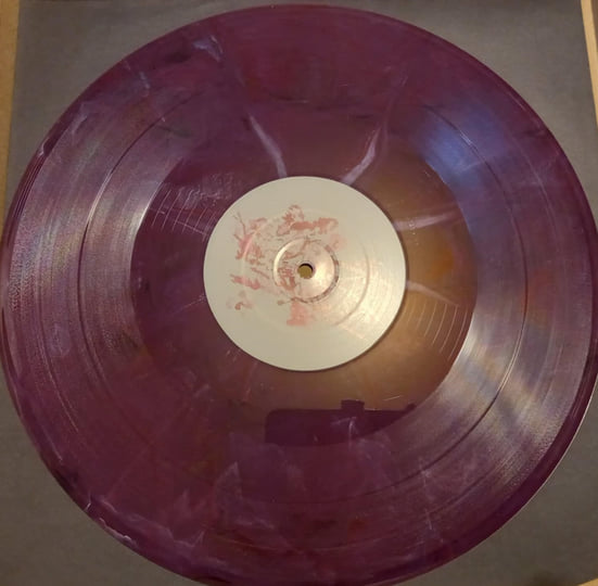 MASAMI KAWAGUCHI / KIM SALMON 'Blossoming' LP | Masami Kawaguchi