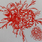 zoonoise thumbnail